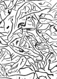 Typisches Schliffbild - GG-20